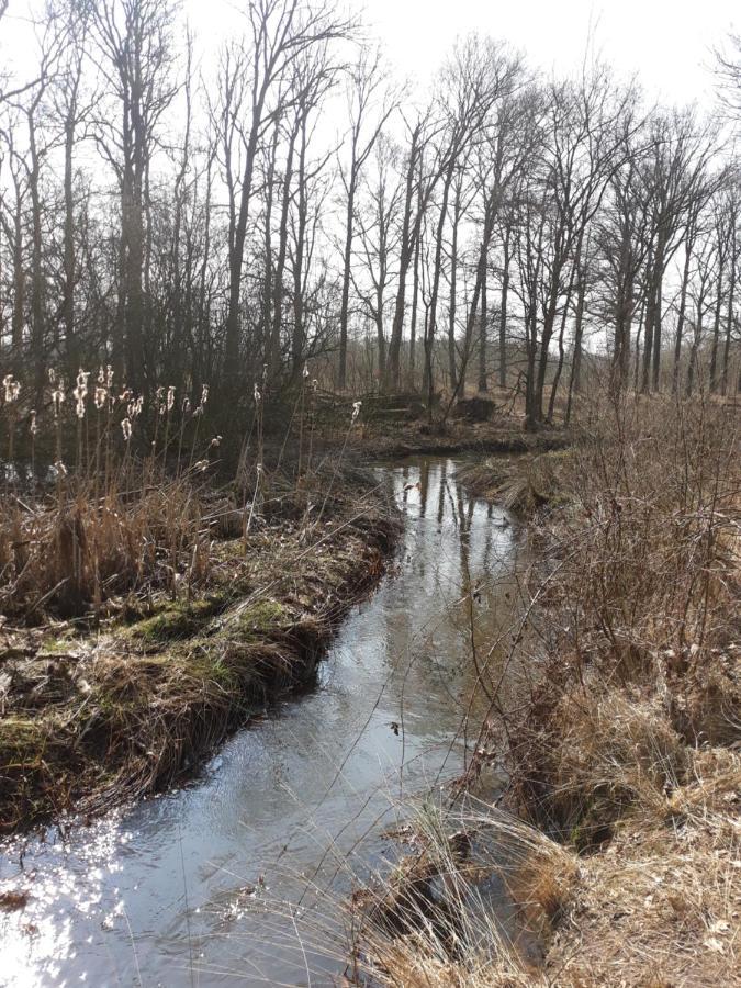 Bospareltjes Luxe Chalets Alleen Voor Recreatie Oisterwijk Bagian luar foto