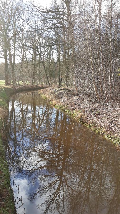 Bospareltjes Luxe Chalets Alleen Voor Recreatie Oisterwijk Bagian luar foto